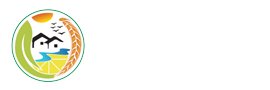 合肥邁馳包裝設備有限公司